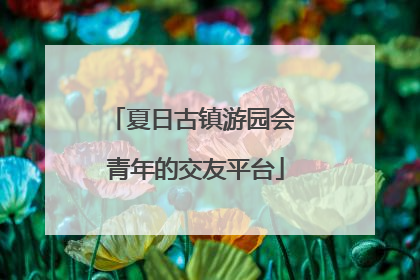 夏日古镇游园会 青年的交友平台